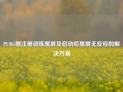 PUBG刚注册训练黑屏及启动后黑屏无反应的解决方案