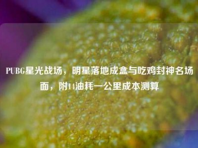 PUBG星光战场，明星落地成盒与吃鸡封神名场面，附14油耗一公里成本测算