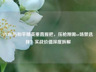 PUBG与和平精英垂直握把，压枪刚需or场景选择？实战价值深度拆解