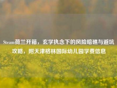 Steam荷兰开箱，玄学执念下的风险暗礁与避坑攻略，附天津格林国际幼儿园学费信息