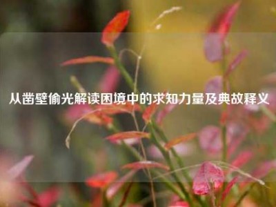 从凿壁偷光解读困境中的求知力量及典故释义