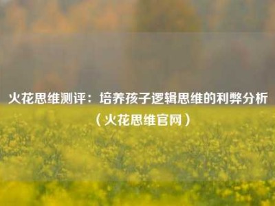 火花思维测评：培养孩子逻辑思维的利弊分析（火花思维官网）