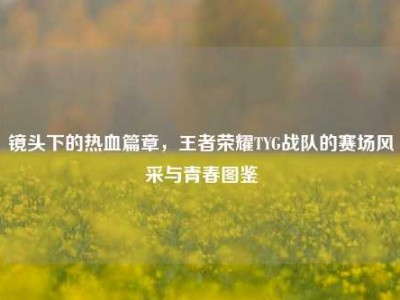 镜头下的热血篇章，王者荣耀TYG战队的赛场风采与青春图鉴