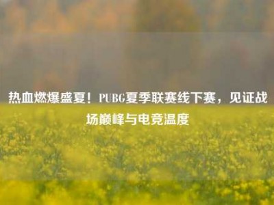 热血燃爆盛夏！PUBG夏季联赛线下赛，见证战场巅峰与电竞温度
