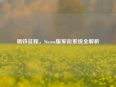 钢铁征程，Steam版军衔系统全解析