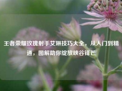 王者荣耀玫瑰射手艾琳技巧大全，从入门到精通，图解助你绽放峡谷锋芒