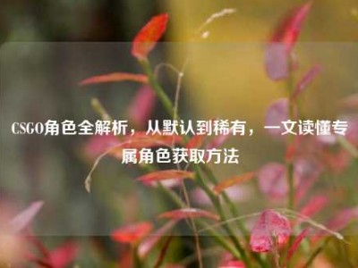 CSGO角色全解析，从默认到稀有，一文读懂专属角色获取方法