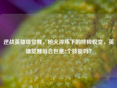 逆战英雄级觉醒，枪火淬炼下的终极蜕变，英雄觉醒组合包是2个技能吗？