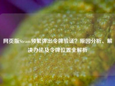 网页版Steam频繁弹出令牌验证？原因分析、解决办法及令牌位置全解析