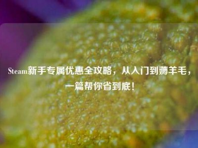 Steam新手专属优惠全攻略，从入门到薅羊毛，一篇帮你省到底！