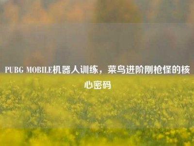 PUBG MOBILE机器人训练，菜鸟进阶刚枪怪的核心密码
