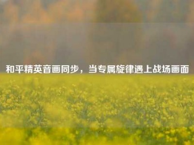 和平精英音画同步，当专属旋律遇上战场画面