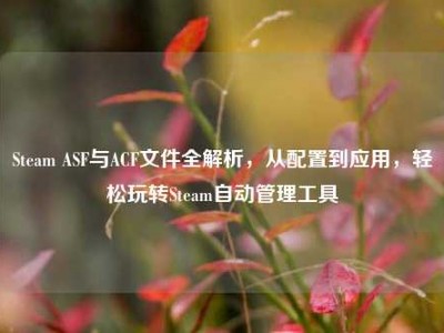 Steam ASF与ACF文件全解析，从配置到应用，轻松玩转Steam自动管理工具
