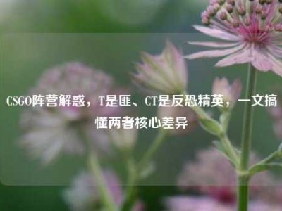 CSGO阵营解惑，T是匪、CT是反恐精英，一文搞懂两者核心差异