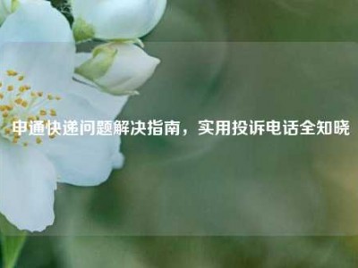 申通快递问题解决指南，实用投诉电话全知晓