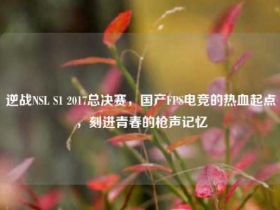 逆战NSL S1 2017总决赛，国产FPS电竞的热血起点，刻进青春的枪声记忆