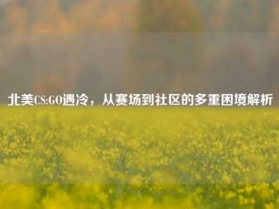 北美CS:GO遇冷，从赛场到社区的多重困境解析