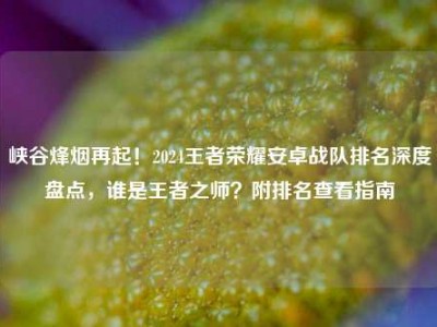 峡谷烽烟再起！2024王者荣耀安卓战队排名深度盘点，谁是王者之师？附排名查看指南