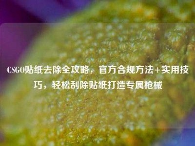 CSGO贴纸去除全攻略，官方合规方法+实用技巧，轻松刮除贴纸打造专属枪械