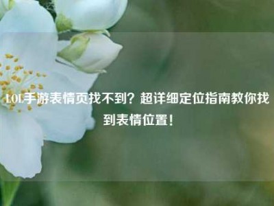 LOL手游表情页找不到？超详细定位指南教你找到表情位置！