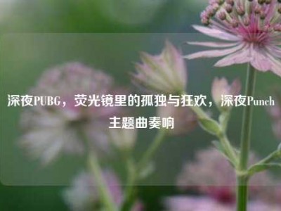 深夜PUBG，荧光镜里的孤独与狂欢，深夜Punch主题曲奏响