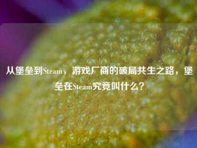 从堡垒到Steam，游戏厂商的破局共生之路，堡垒在Steam究竟叫什么？