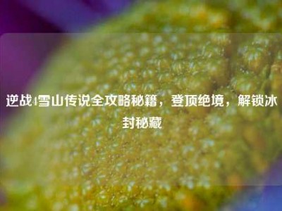 逆战4雪山传说全攻略秘籍，登顶绝境，解锁冰封秘藏