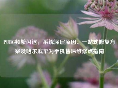 PUBG频繁闪退，系统深层原因、一站式修复方案及哈尔滨华为手机售后维修点指南