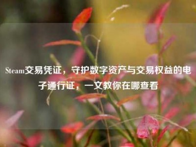 Steam交易凭证，守护数字资产与交易权益的电子通行证，一文教你在哪查看