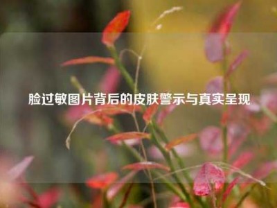 脸过敏图片背后的皮肤警示与真实呈现
