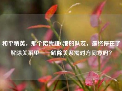 和平精英，那个陪我跳G港的队友，最终停在了解除关系里——解除关系需对方同意吗？