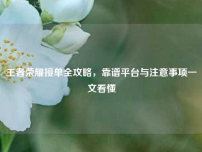 王者荣耀接单全攻略，靠谱平台与注意事项一文看懂