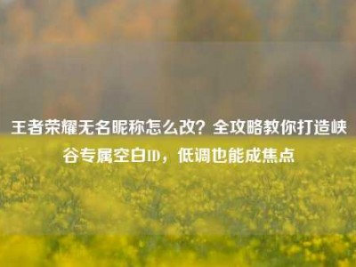 王者荣耀无名昵称怎么改？全攻略教你打造峡谷专属空白ID，低调也能成焦点