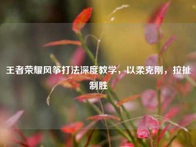 王者荣耀风筝打法深度教学，以柔克刚，拉扯制胜