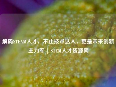 解码STEAM人才，不止技术达人，更是未来创新主力军 | STEM人才资源网
