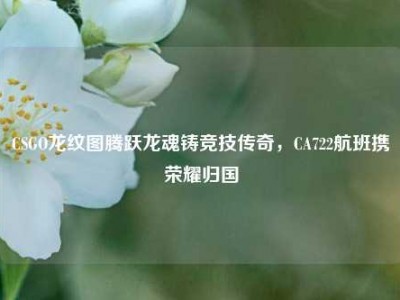 CSGO龙纹图腾跃龙魂铸竞技传奇，CA722航班携荣耀归国