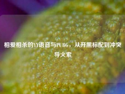 相爱相杀的YY语音与PUBG，从开黑标配到冲突导火索