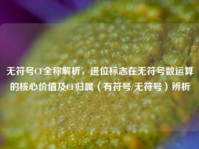 无符号CF全称解析，进位标志在无符号数运算的核心价值及CF归属（有符号/无符号）辨析
