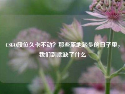 CSGO段位久卡不动？那些原地踏步的日子里，我们到底缺了什么
