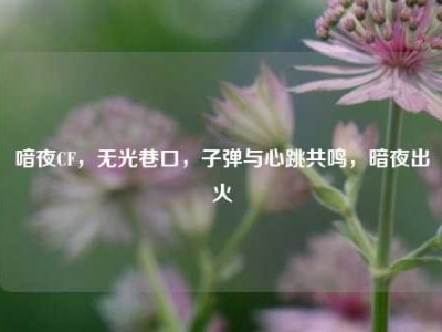 喑夜CF，无光巷口，子弹与心跳共鸣，暗夜出火