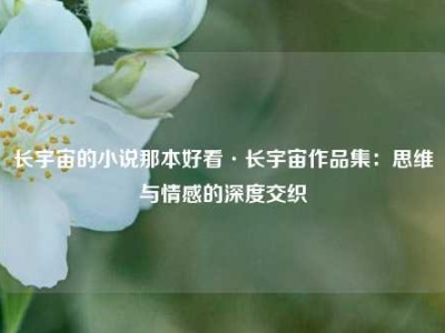 长宇宙的小说那本好看·长宇宙作品集：思维与情感的深度交织