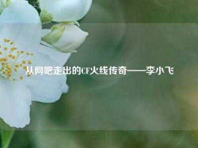 从网吧走出的CF火线传奇——李小飞