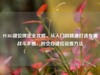 PUBG键位绑定全攻略，从入门到精通打造专属战斗手感，附空白键位设置方法