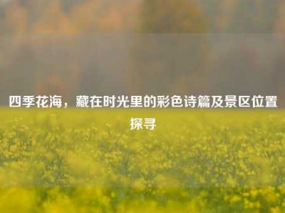 四季花海，藏在时光里的彩色诗篇及景区位置探寻
