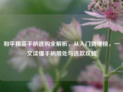 和平精英手柄选购全解析，从入门到硬核，一文读懂手柄用处与选款攻略