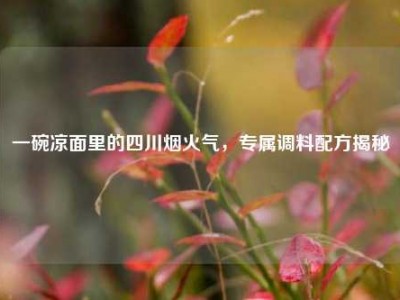 一碗凉面里的四川烟火气，专属调料配方揭秘