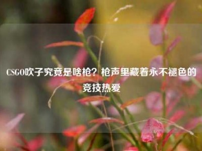 CSGO吹子究竟是啥枪？枪声里藏着永不褪色的竞技热爱