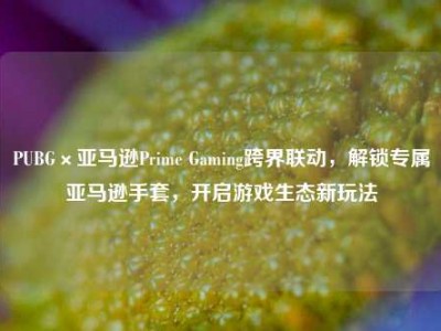 PUBG×亚马逊Prime Gaming跨界联动，解锁专属亚马逊手套，开启游戏生态新玩法