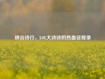 峡谷诗行，LOL大诗诗的热血征程录