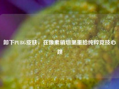 卸下PUBG皮肤，在像素硝烟里重拾纯粹竞技心跳